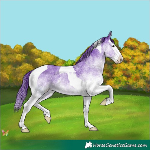 Horse Color:Watercolor White Spotted Black Splash Tobiano 