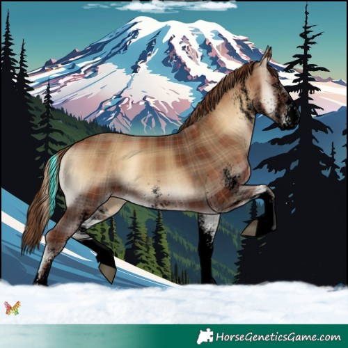 Horse Color:Void Plaid  White Spotted Red Onyx 