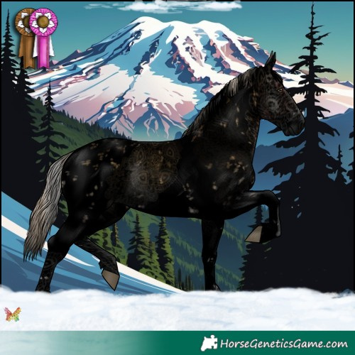 Horse Color:Void Plaid  White Spotted Palomino Onyx Sabino 