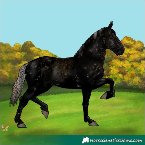 Horse Color:Void Plaid  White Spotted Palomino Onyx Sabino 