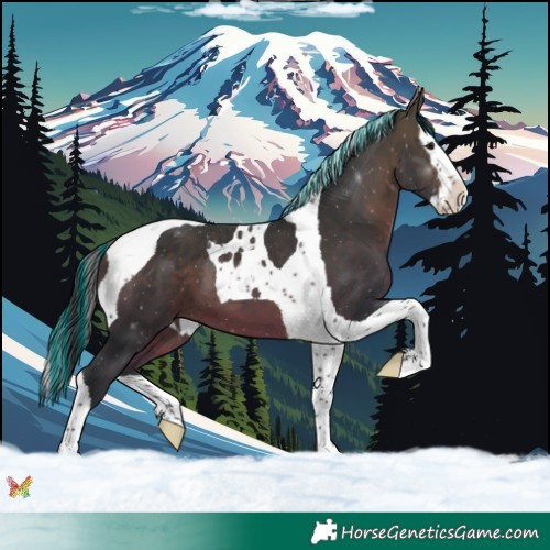 Horse Color:Painted Brown Splash Tobiano 