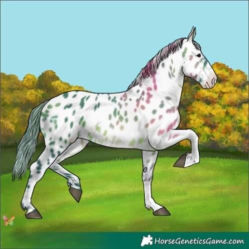 Horse Color:Watercolor Brown Tobiano Appaloosa 