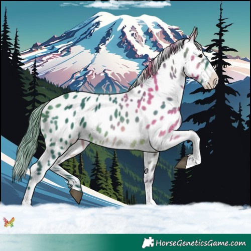 Horse Color:Watercolor Brown Tobiano Appaloosa 