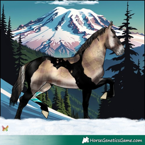Horse Color:Void Plaid  Brown Onyx Tobiano 