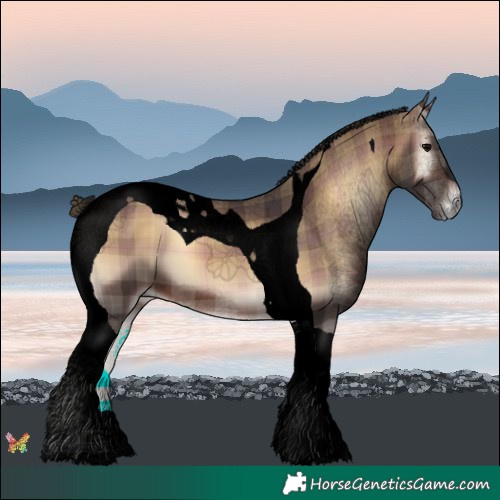 Horse Color:Void Plaid  Brown Onyx Tobiano 