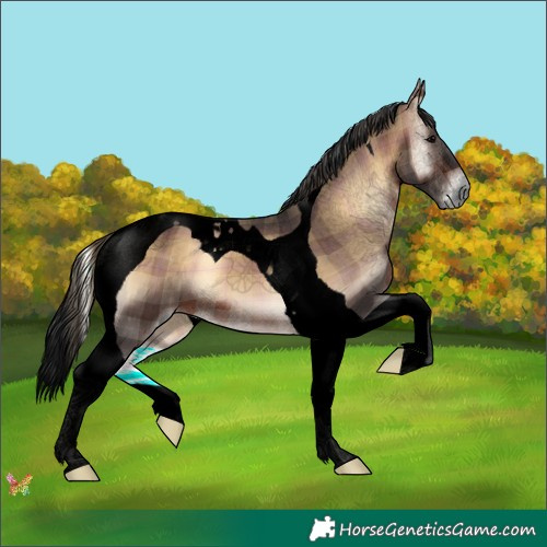 Horse Color:Void Plaid  Brown Onyx Tobiano 