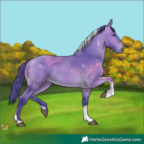 Horse Color:Watercolor Buckskin Sabino Tobiano 