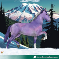 Horse Color:Watercolor Buckskin Sabino Tobiano 