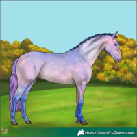 Horse Color:Watercolor White Spotted Buckskin