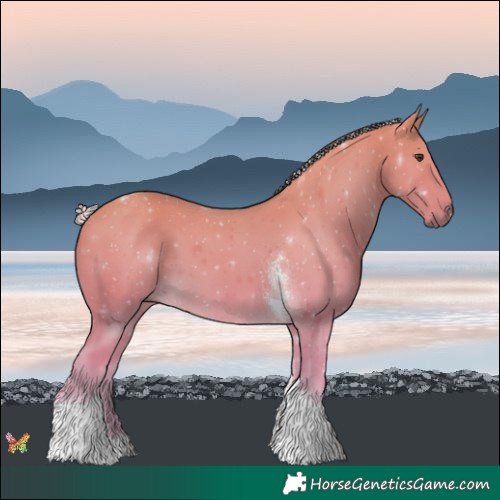 Horse Color:Painted Palomino Tobiano 