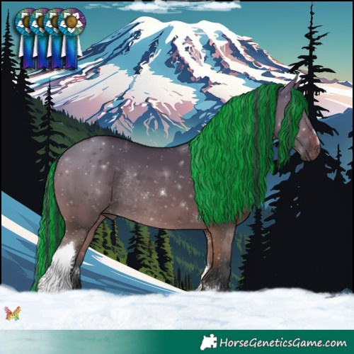 Horse Color:Painted Bay Dun Tobiano Rabicano 