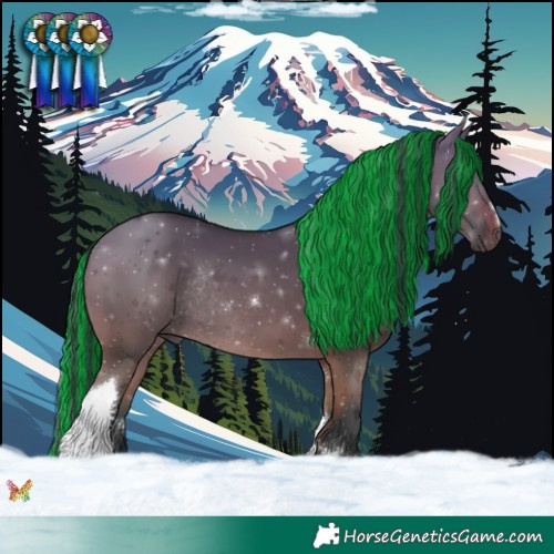Horse Color:Painted Bay Dun Tobiano Rabicano 