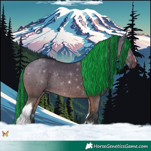 Horse Color:Painted Bay Dun Tobiano Rabicano 
