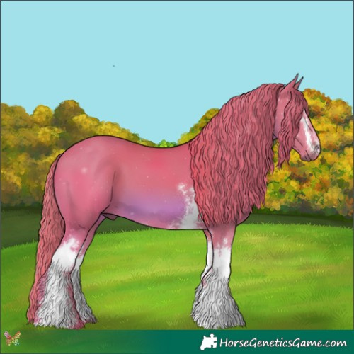 Horse Color:Watercolor White Spotted Chestnut 