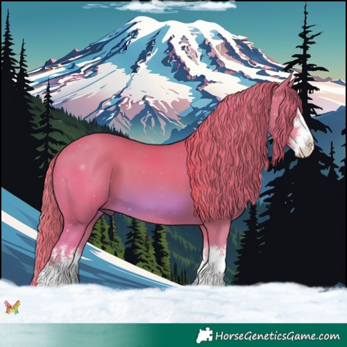 Horse Color:Watercolor White Spotted Chestnut 