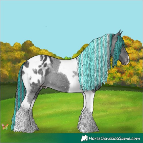 Horse Color:Painted Black Tobiano Appaloosa 