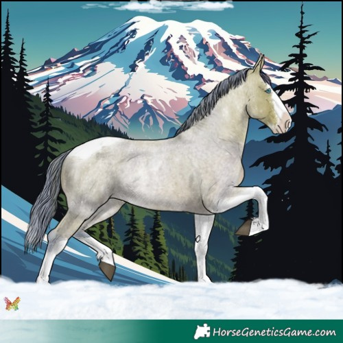 Horse Color:Watercolor Bay Roan Splash Tobiano 