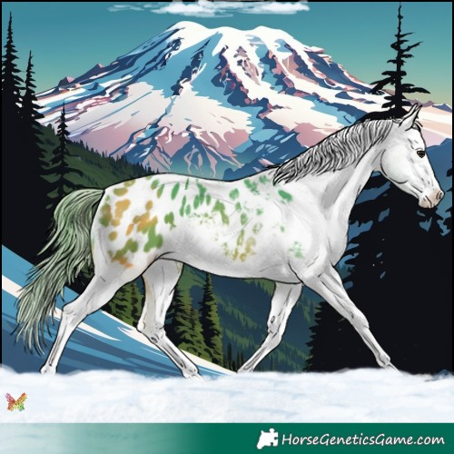 Horse Color:Watercolor White Spotted Bay Blanket 