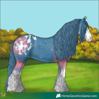 Horse Color:Watercolor White Spotted Liver Chestnut Blanket 