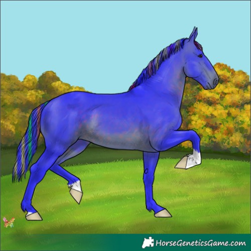 Horse Color:Painted Watercolor Brown 