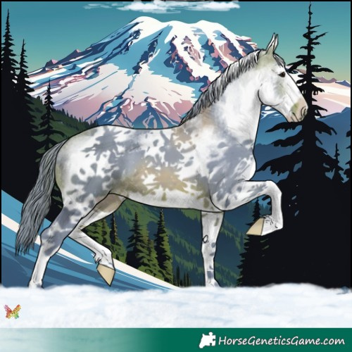 Horse Color:Watercolor White Spotted Bay