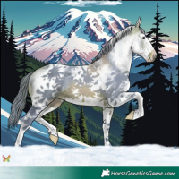 Horse Color:Watercolor White Spotted Bay 