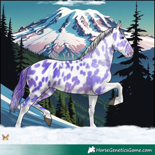 Horse Color:Watercolor Brown Dun Tobiano Near Leopard