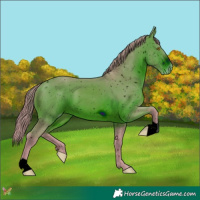 Horse Color:ERROR: UNKNOWN ANOMALY