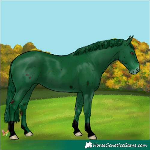 Horse Color:ERROR: UNKNOWN ANOMALY