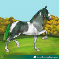 Horse Color:Painted Watercolor Midnight Liver Chestnut Ice Tobiano 