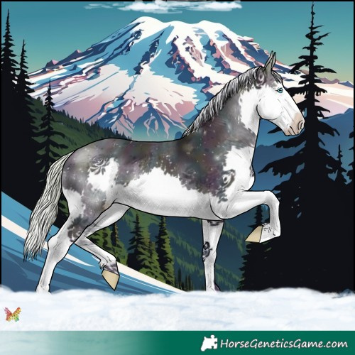 Horse Color:Watercolor Midnight Silver Sable Cream Champagne Splash 