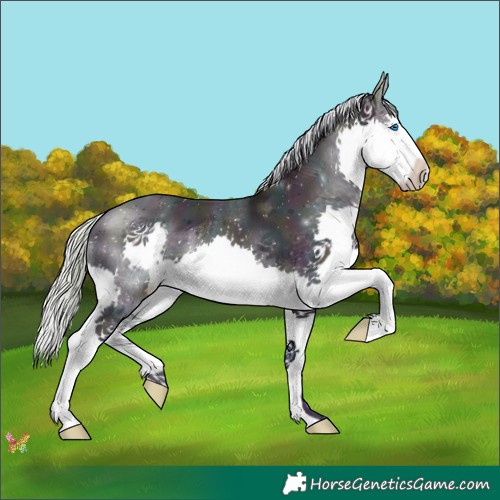 Horse Color:Watercolor Midnight Silver Sable Cream Champagne Splash 
