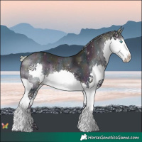 Horse Color:Watercolor Midnight Silver Sable Cream Champagne Splash 