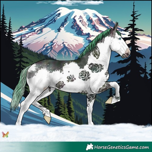 Horse Color:Watercolor Midnight Sable Cream Champagne Splash 