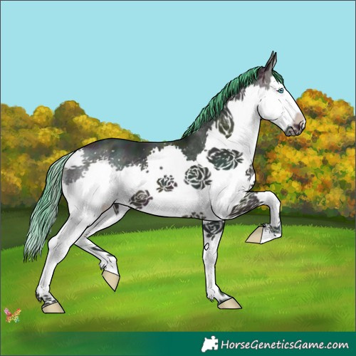 Horse Color:Watercolor Midnight Sable Cream Champagne Splash 