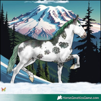 Horse Color:Watercolor Midnight Sable Cream Champagne Splash