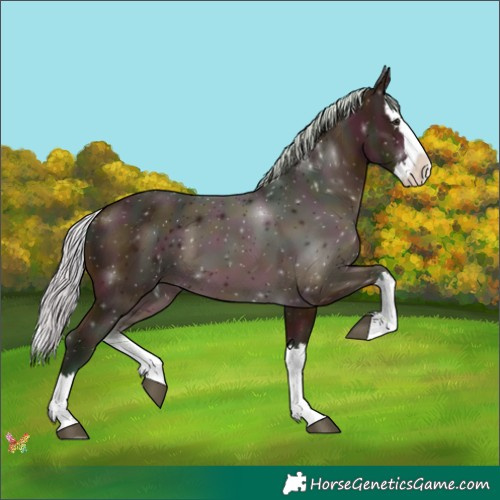 Horse Color:Watercolor Midnight Silver Buckskin Splash 