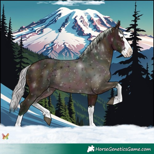 Horse Color:Watercolor Midnight Silver Buckskin Splash 