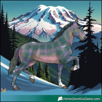 Horse Color:Watercolor Plaid  Buckskin 