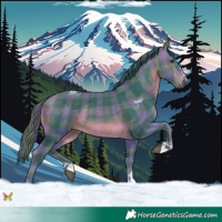 Horse Color:Watercolor Plaid Buckskin