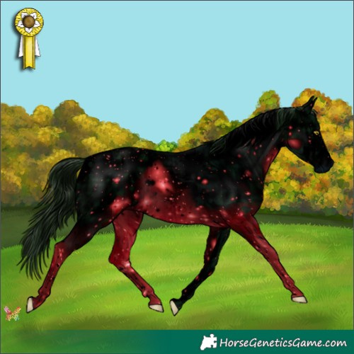 Horse Color:ERROR: UNKNOWN ANOMALY