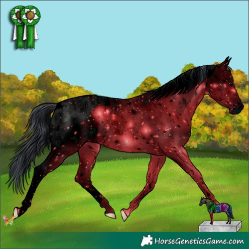 Horse Color:ERROR: UNKNOWN ANOMALY