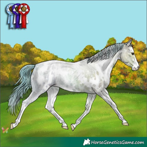 Horse Color:Watercolor White Spotted Classic Champagne Ice Sabino Appaloosa 