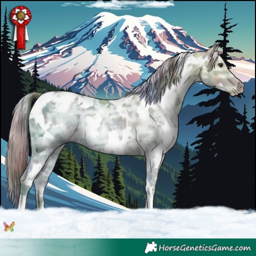 Horse Color:Nacre White Spotted Liver Chestnut Ice Appaloosa 