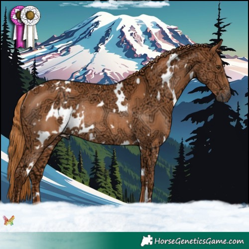 Horse Color:White Spotted Chestnut Ice Rabicano 