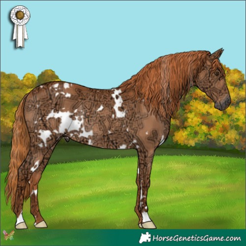 Horse Color:White Spotted Chestnut Ice Rabicano 