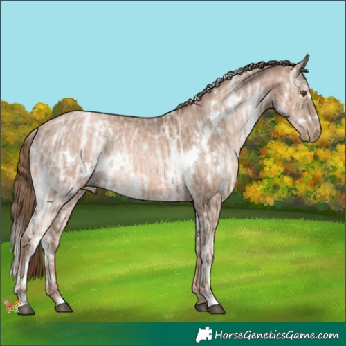 Horse Color:White Spotted Liver Chestnut Ice Pearl Rabicano 