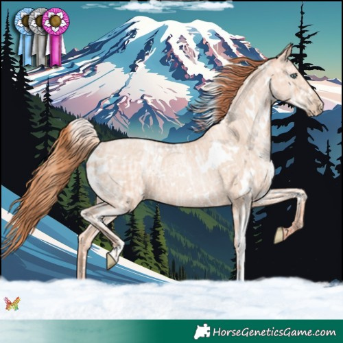 Horse Color:White Spotted Sable Champagne Ice Pearl Rabicano 