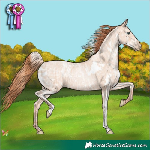 Horse Color:White Spotted Sable Champagne Ice Pearl Rabicano 