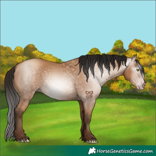 Horse Color:Gray Amber Champagne 